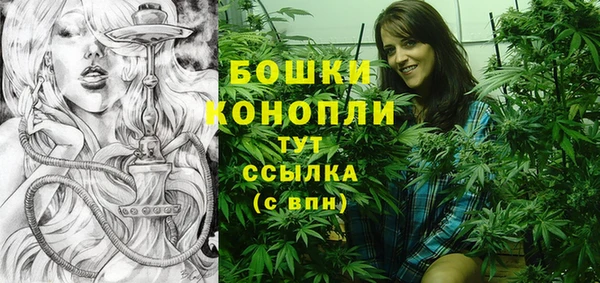 spice Аркадак