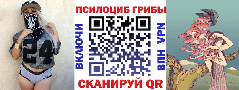 Псилоцибиновые грибы мухоморы  купить наркотик  Полярные Зори 